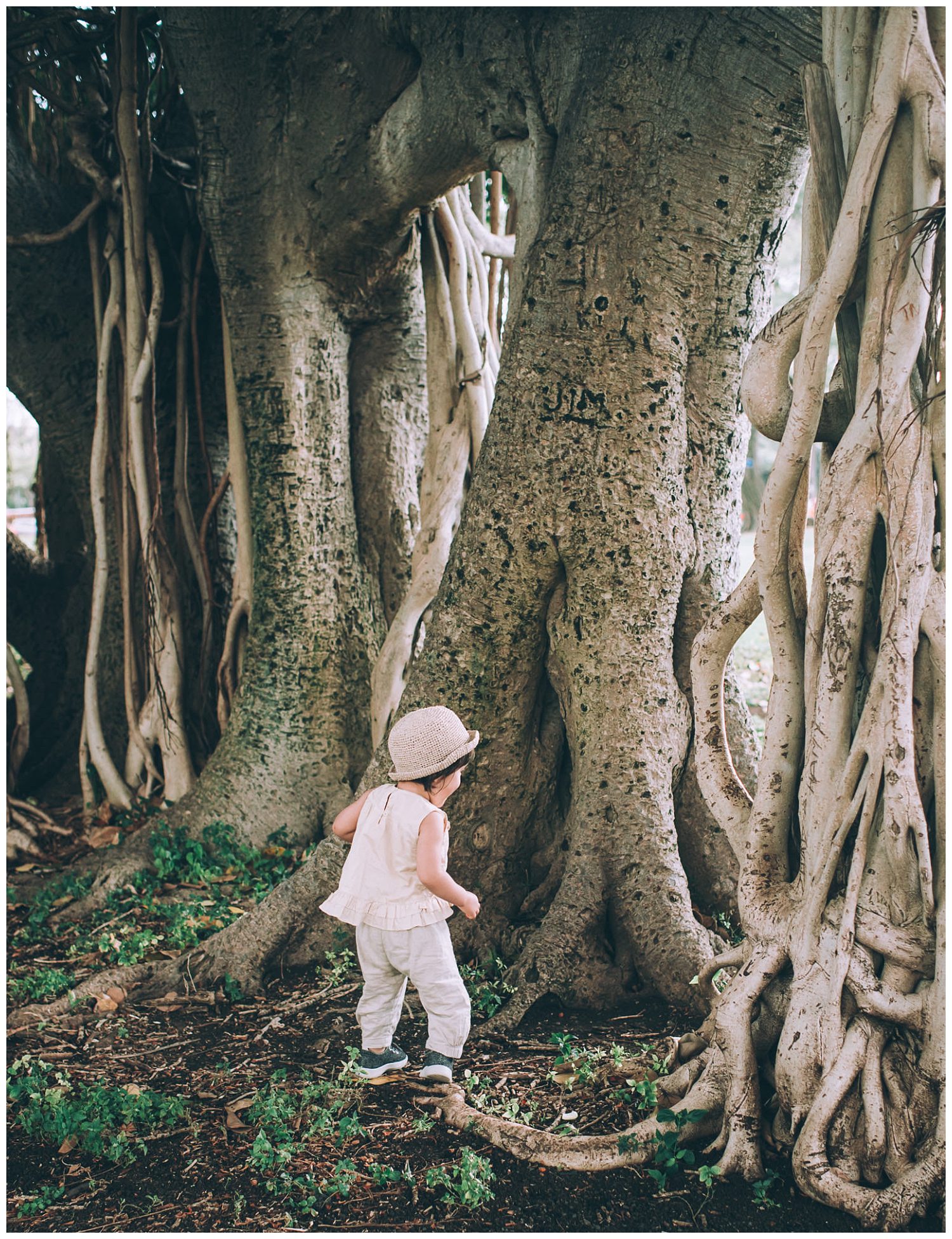 Waikiki Family Photographer