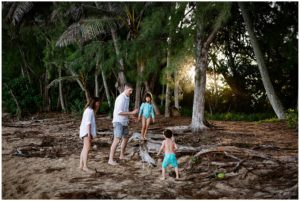 Turtle Bay Photographer