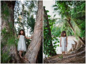 Turtle Bay Photographer